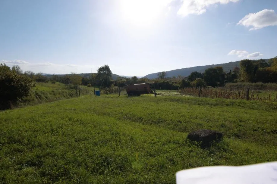buzet okolica- građevinska parcela sa poljoprivrednim zemljištem na p - slika 5