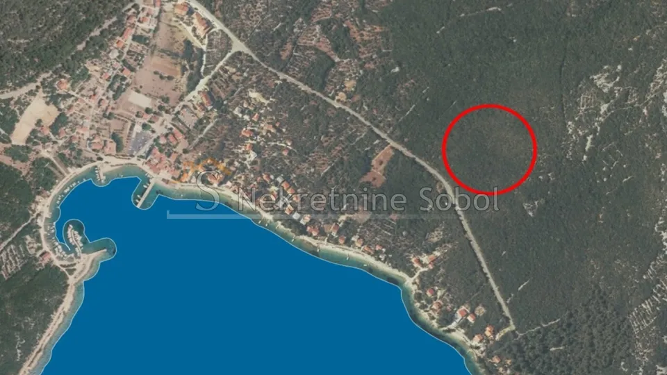 Martinšćica, Otok Cres - Šuma, 15800 m2 Prodaja - Martinšćica, Cres