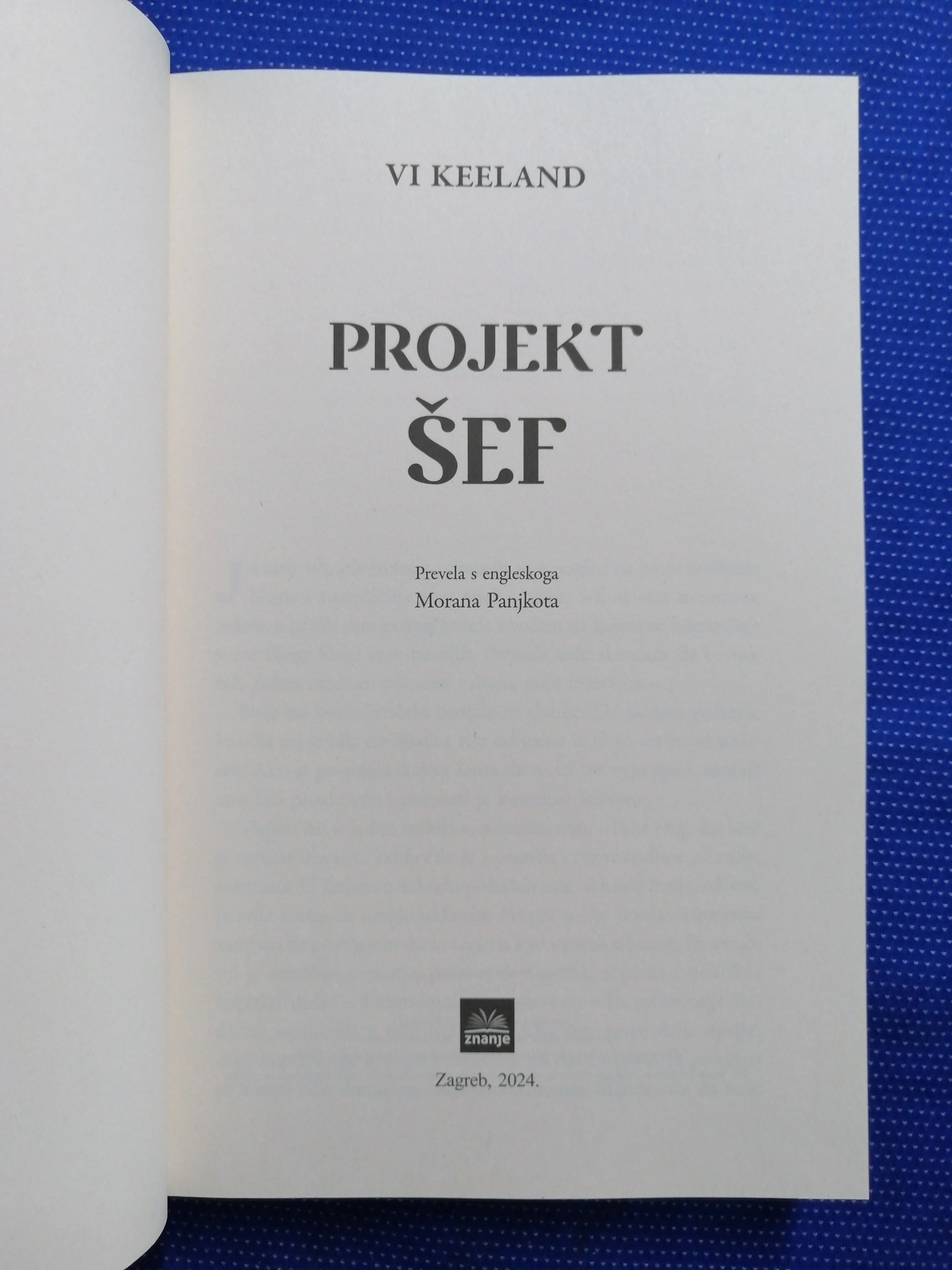 vi keeland – projekt šef - slika 2
