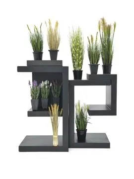 europalms lavender, cream, in pot, 45cm - slika 2
