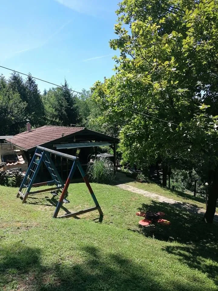 prostor za proslave i druženja(blizu sesveta) - slika 10