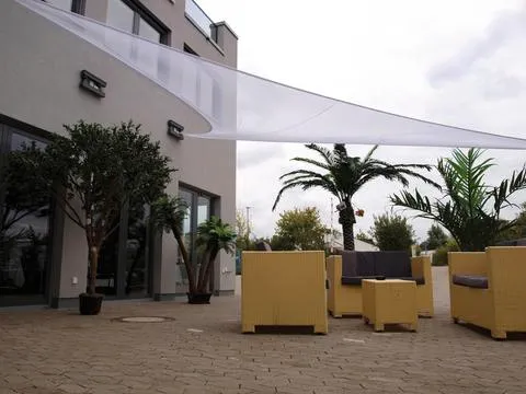 europalms fern palm, 240cm - slika 2
