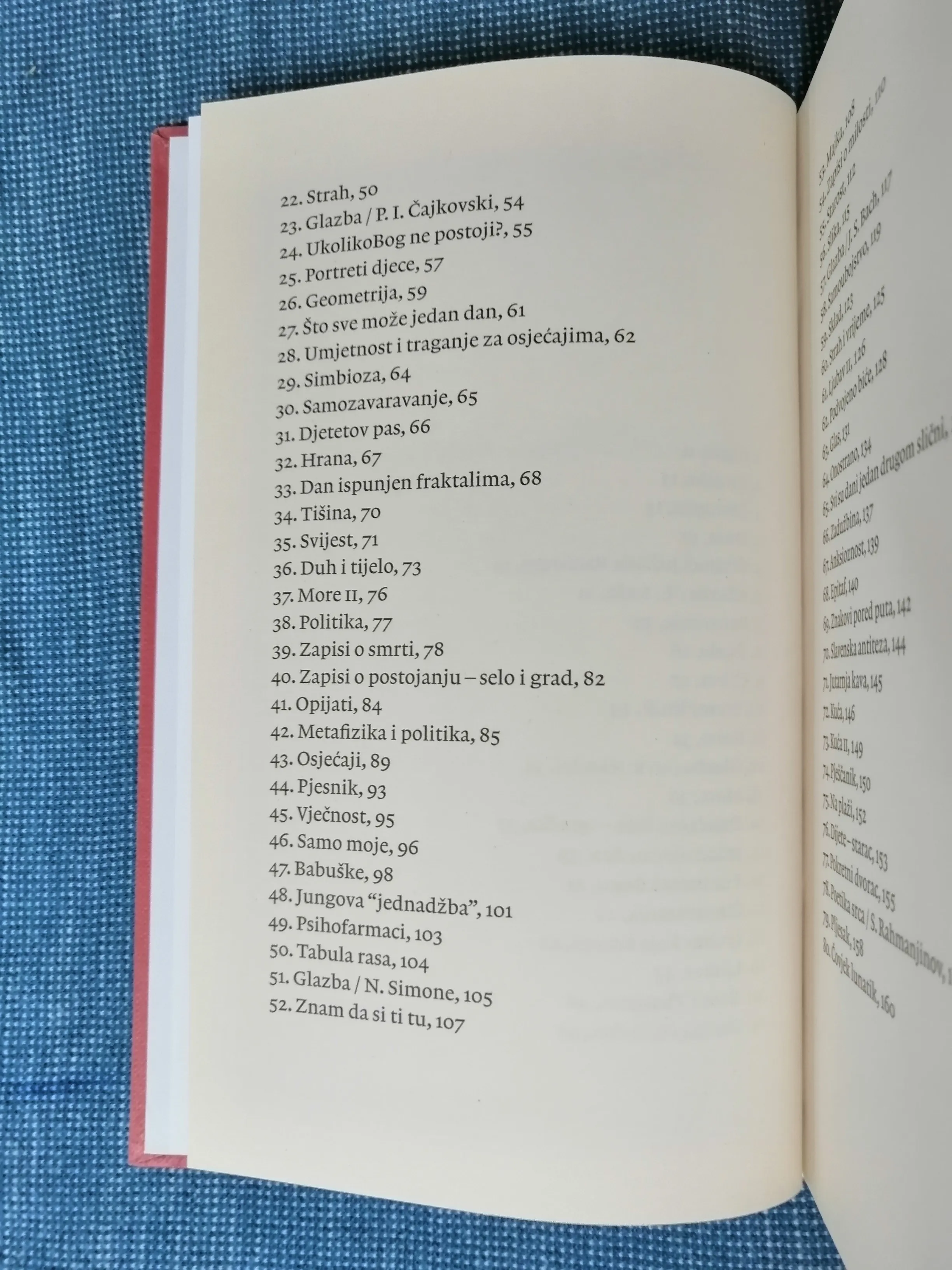 radenko vadanjel – čovjek igračka - slika 5
