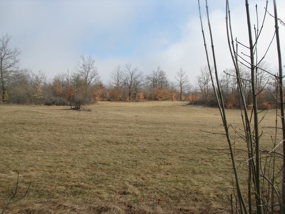 zemljište: lovinac, 42.343 m2, građevinsko, poljoprivredno - slika 5