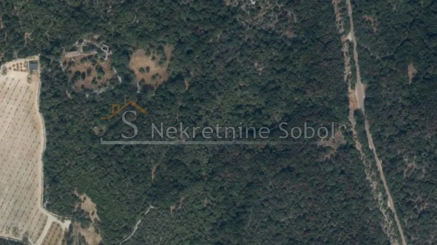 punta križa, otok cres - poljoprivredno, 32101 m2 prodaja - slika 2