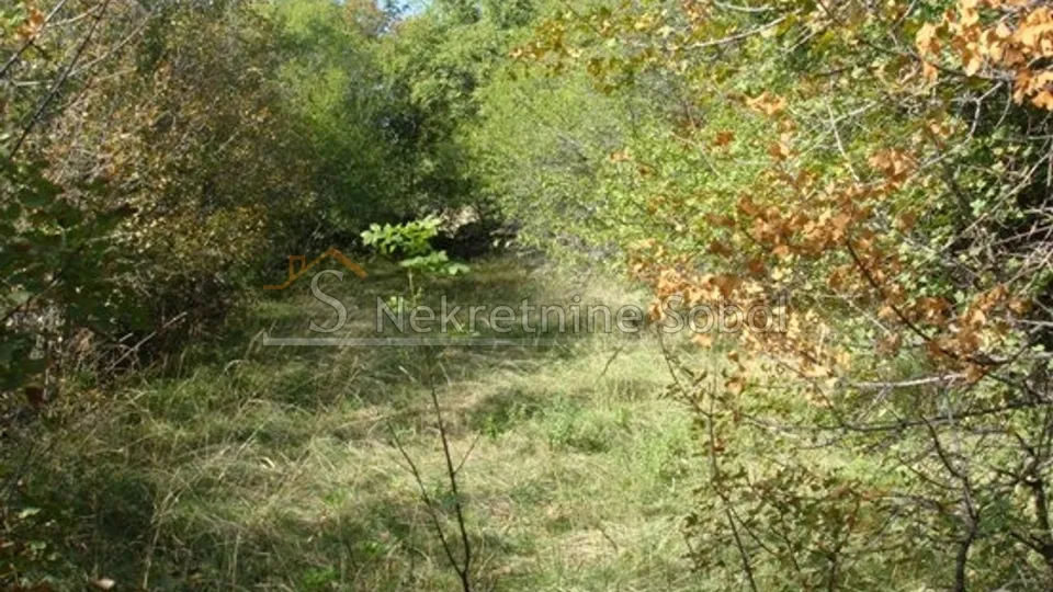 rijeka, hreljin - poljoprivredno, 7907 m2 prodaja - slika 5