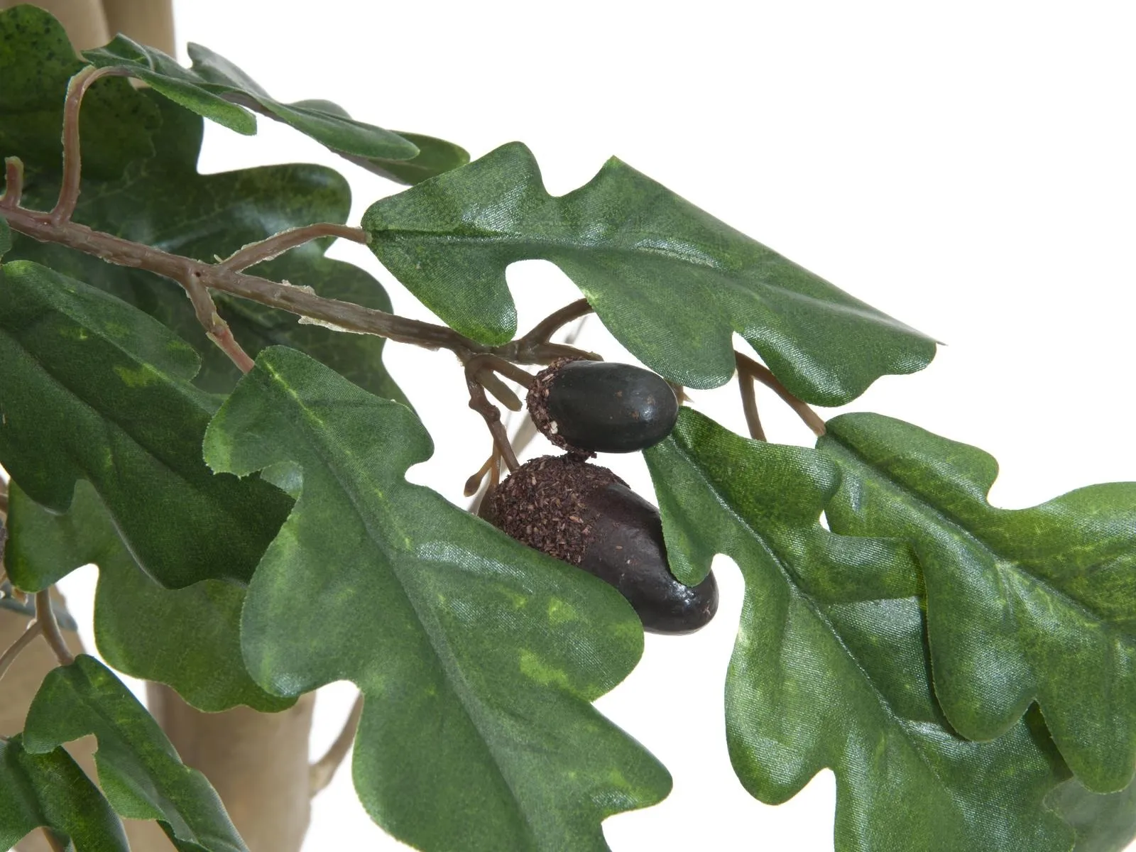 europalms oak tree, 180cm - slika 2