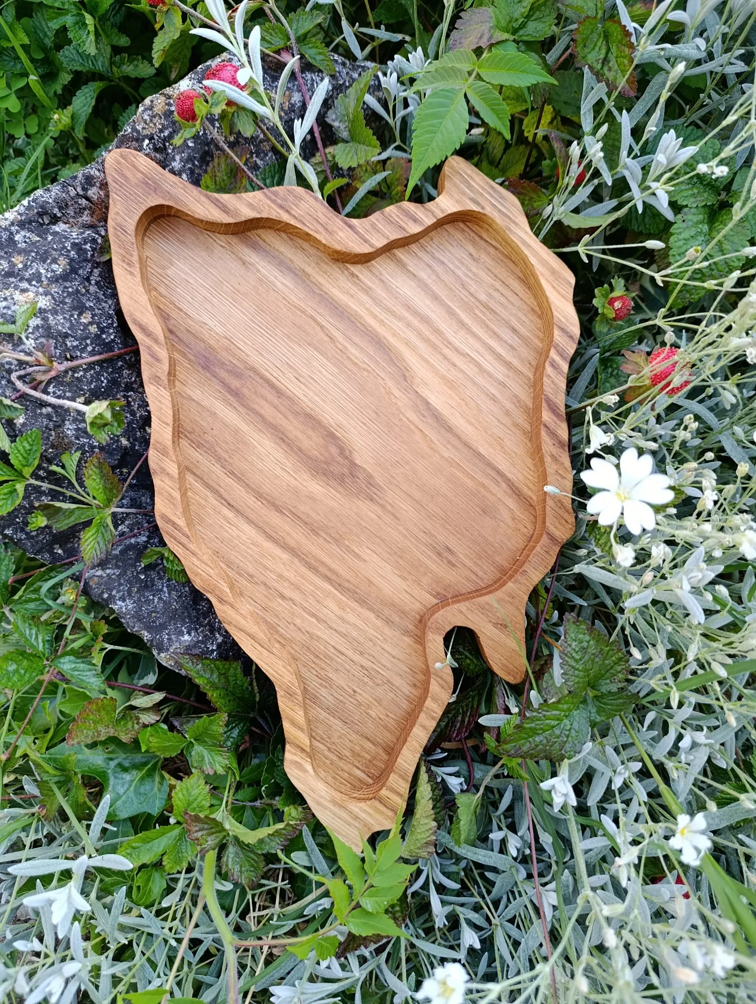 daska/pladanj za posluživanje hrane - istra - slika 6