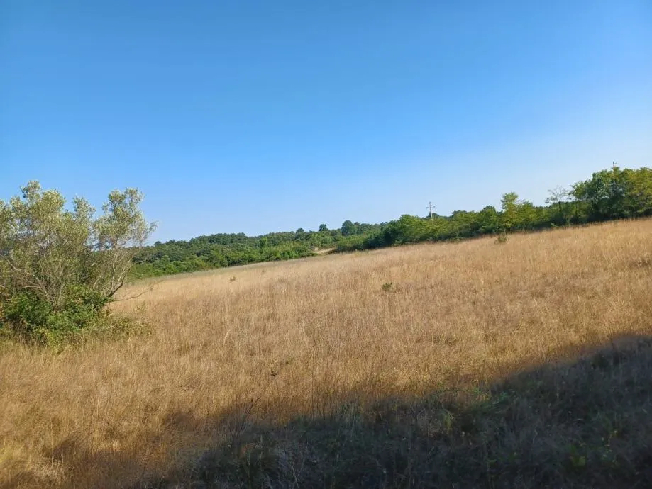 vodnjan-5 km od fažane poljoprivredno zemljište na prodaji - slika 3