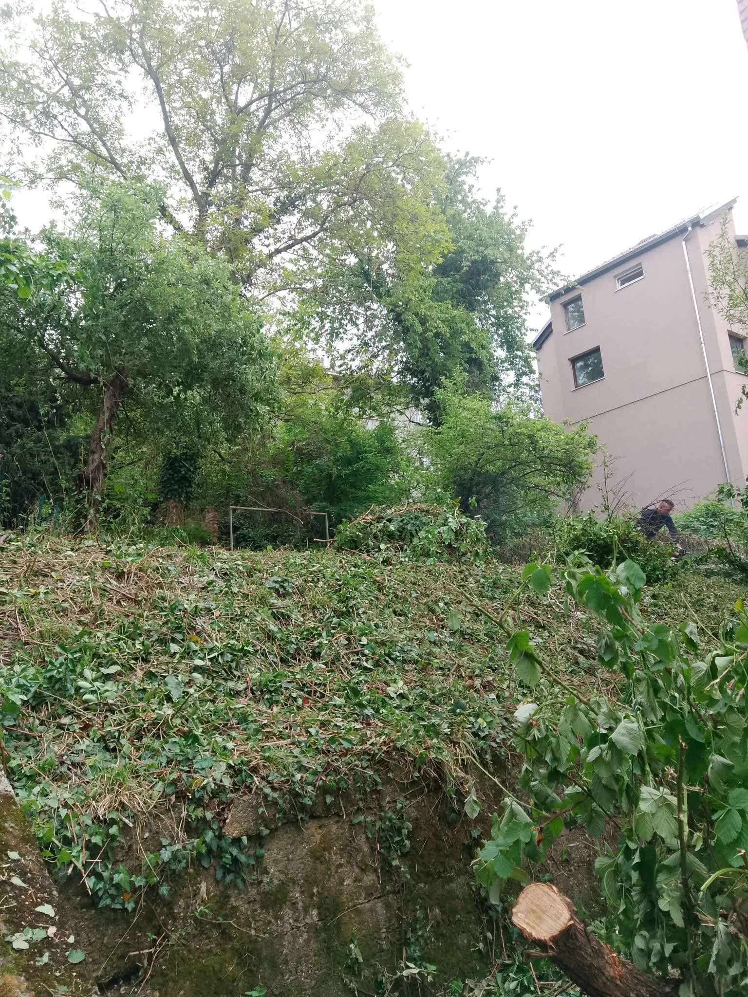 🌿 trebaš uredan i njegovan vrt bez muke? 🌿 - slika 5