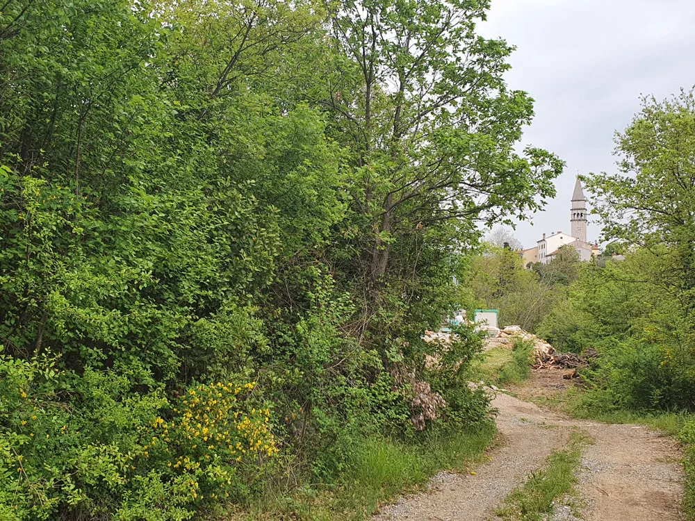 Prodaja, građevinska parcela u Pićnu, Z-627 - Pićan
