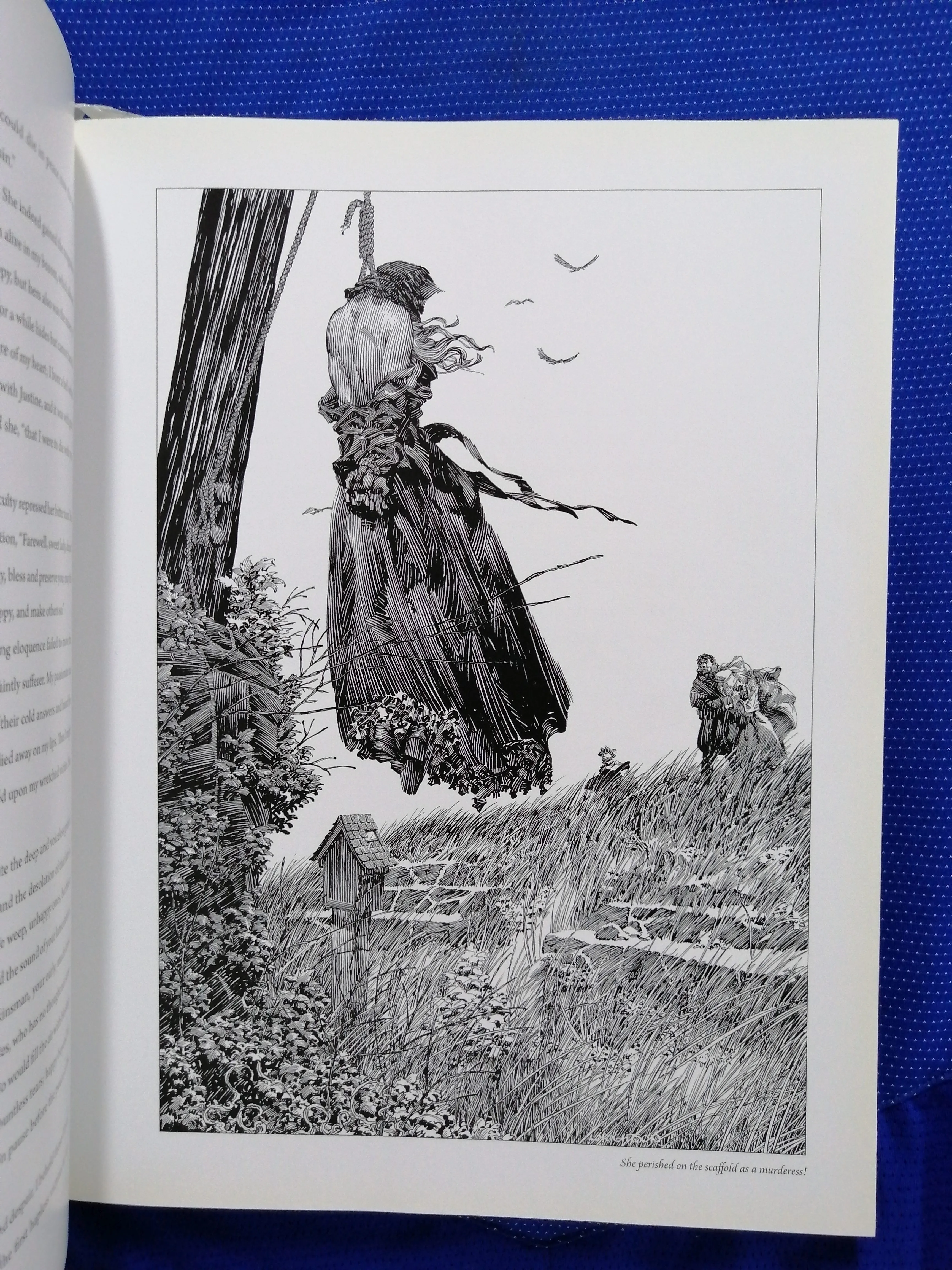 mary wollstonecraft shelley – frankenstein (y3) - slika 5