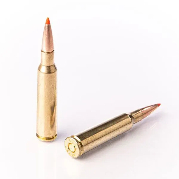 Karabinsko streljivo FIOCCHI 6,5x55 EPN 8,4g / 129g - Poreč