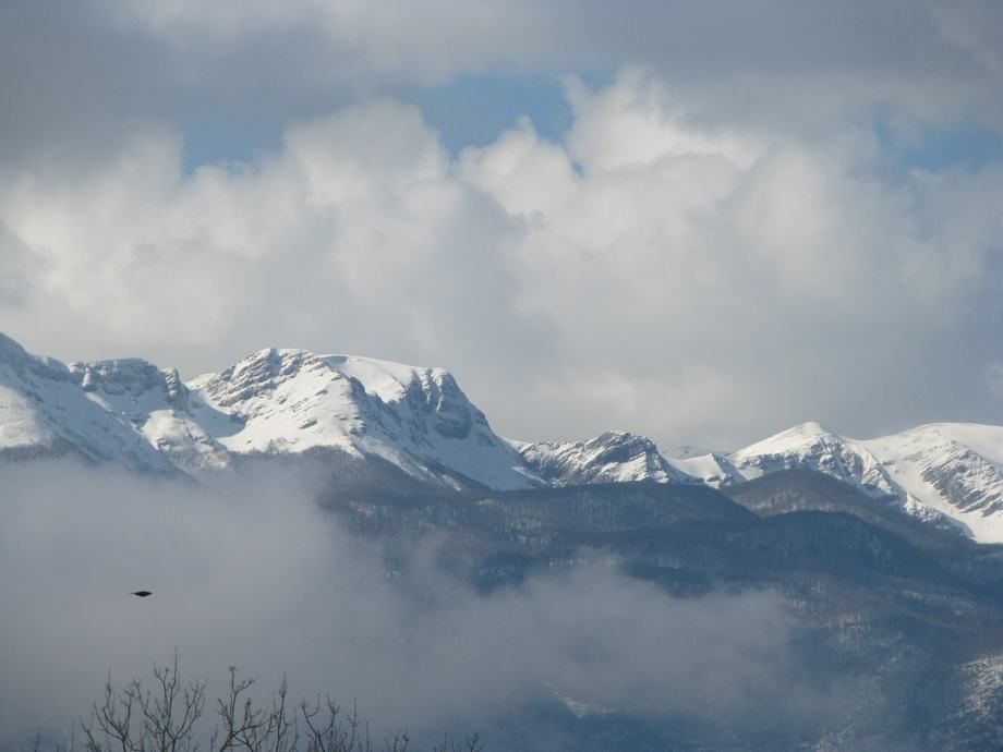 zemljište: lovinac, 42.343 m2, građevinsko, poljoprivredno - slika 9