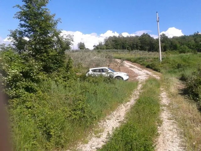 vižinada-poljoprivredno zemljište na prodaji - slika 7