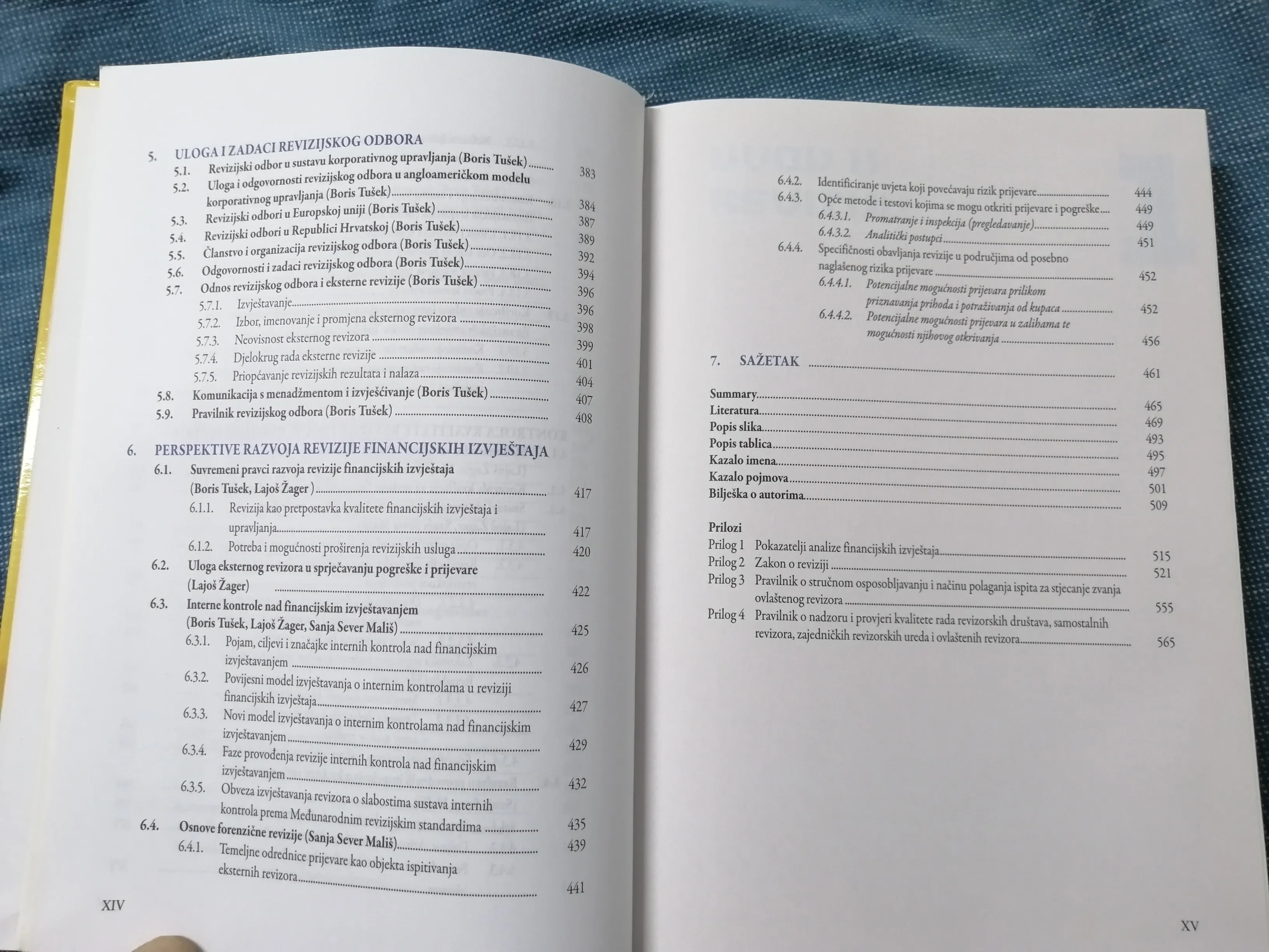 sanja sever mališ, boris tušek, lajoš žagar – revizija - slika 7