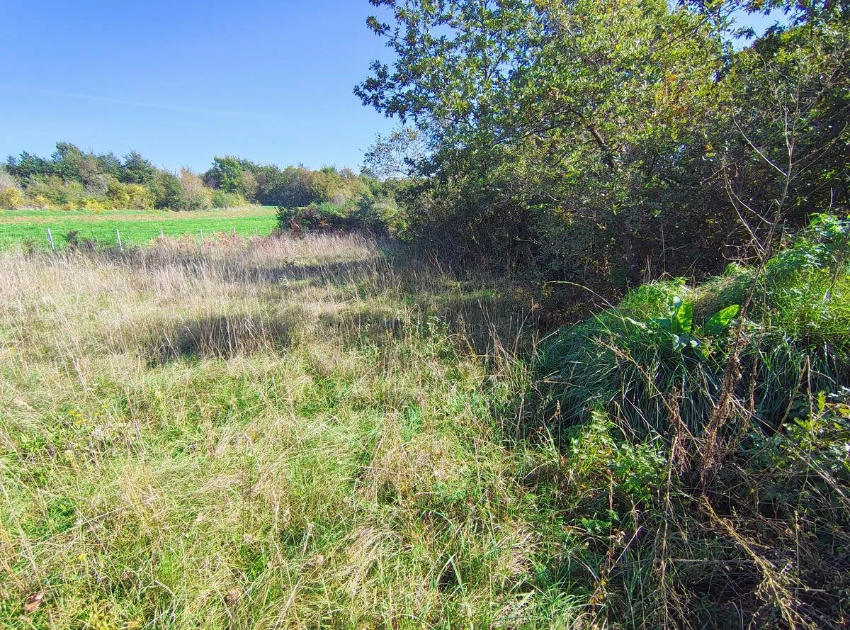 istra barban građevinsko zemljište 1,465 m2 - slika 2