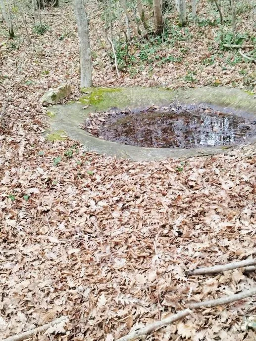 istra, barban, prodaja poljoprivrednog zemljišta 11700 m2 - slika 13