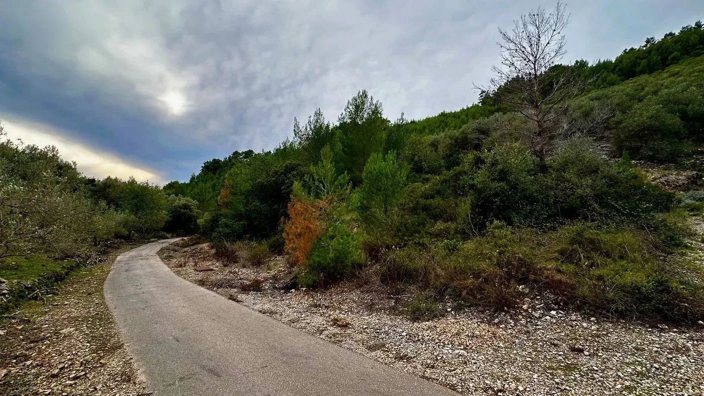 poljoprivredno zemljište na prodaju - blato - slika 6