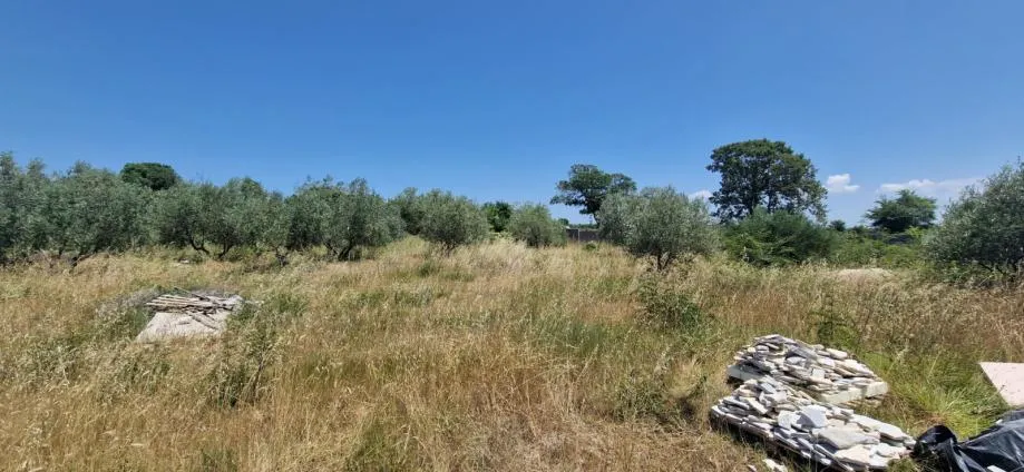 zadar, briševo, građevinsko zemljište (1108m2) - slika 4