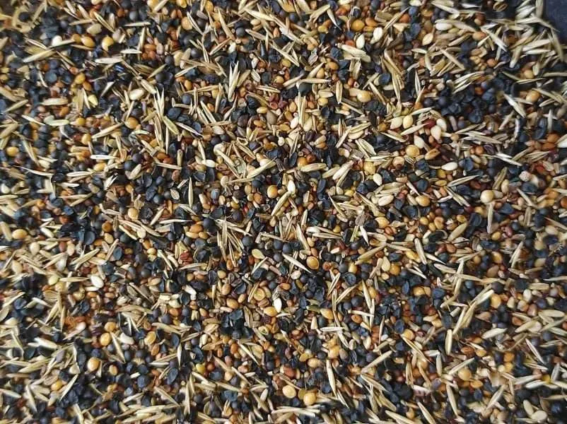Wild Seeds / Divlje Sjeme 1kg - Đakovo