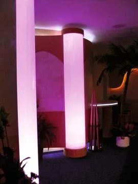 europalms palm, 1 trunk, 300cm - slika 2