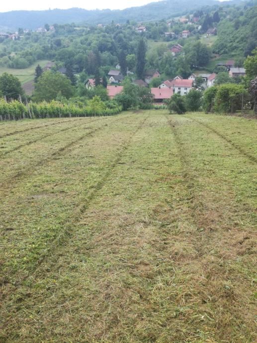 malčiranje i čišćenje zaraslih površina i terena 095/333-4444 - slika 11