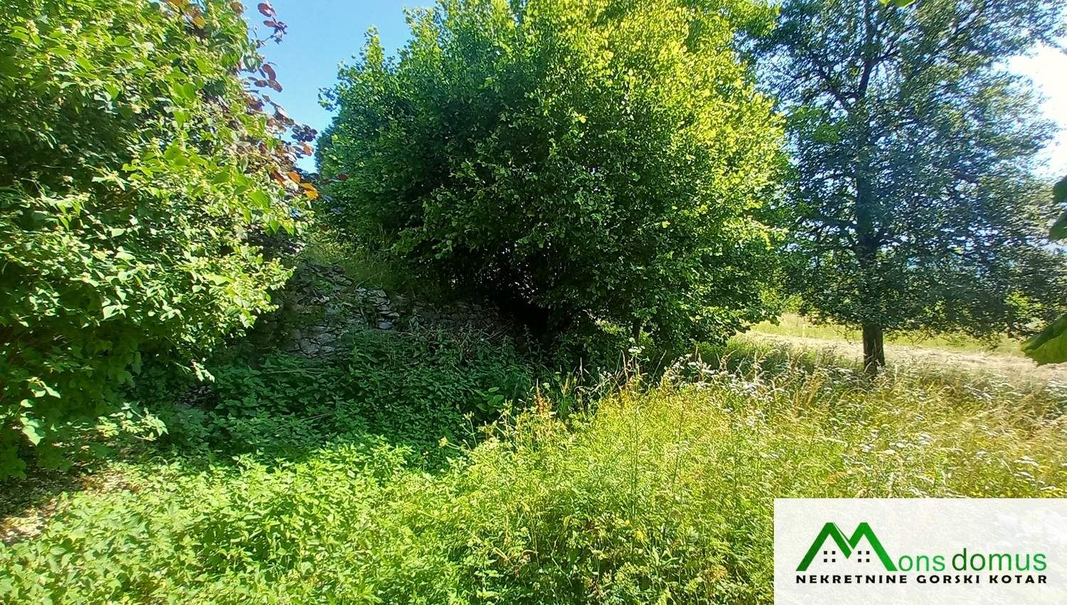 zemljište sa malim voćnjakom - slika 4