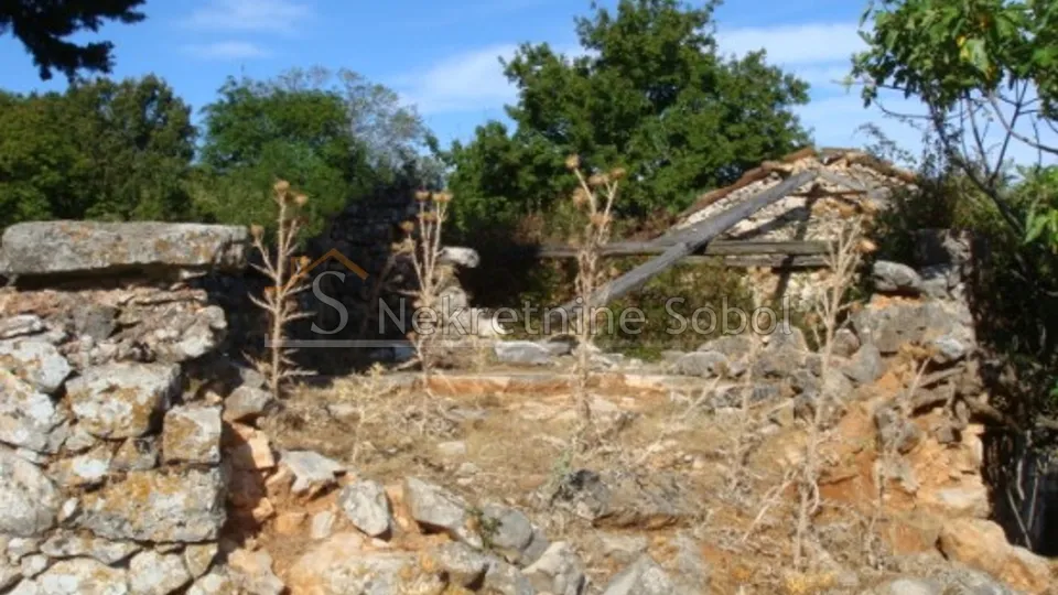 cres, beli - poljoprivredno, 93186 m2 prodaja - slika 4