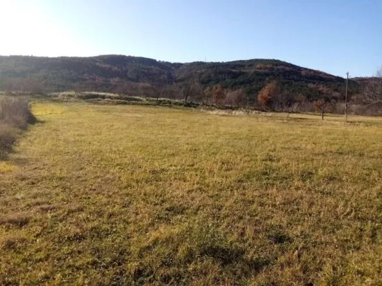 istra građevinsko zemljište u srcu prirode - slika 3