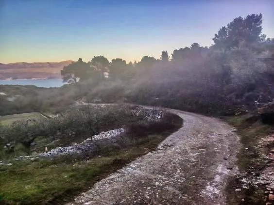 BRAČ, ŠKRIP-1.430 m², blizina naselja i pogled na more - Škrip, Supetar