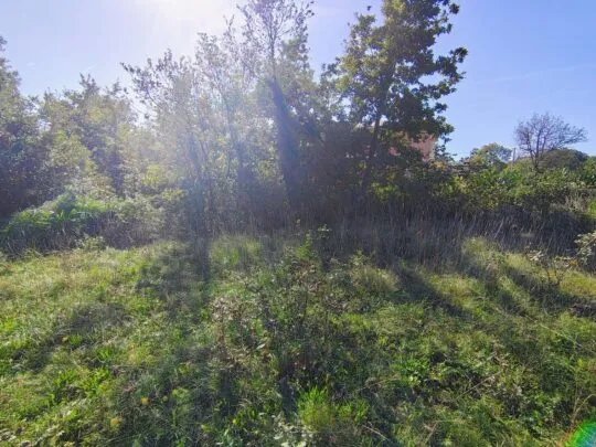 hrvatska istra barban građevinsko zemljište 1.465 m² - slika 4