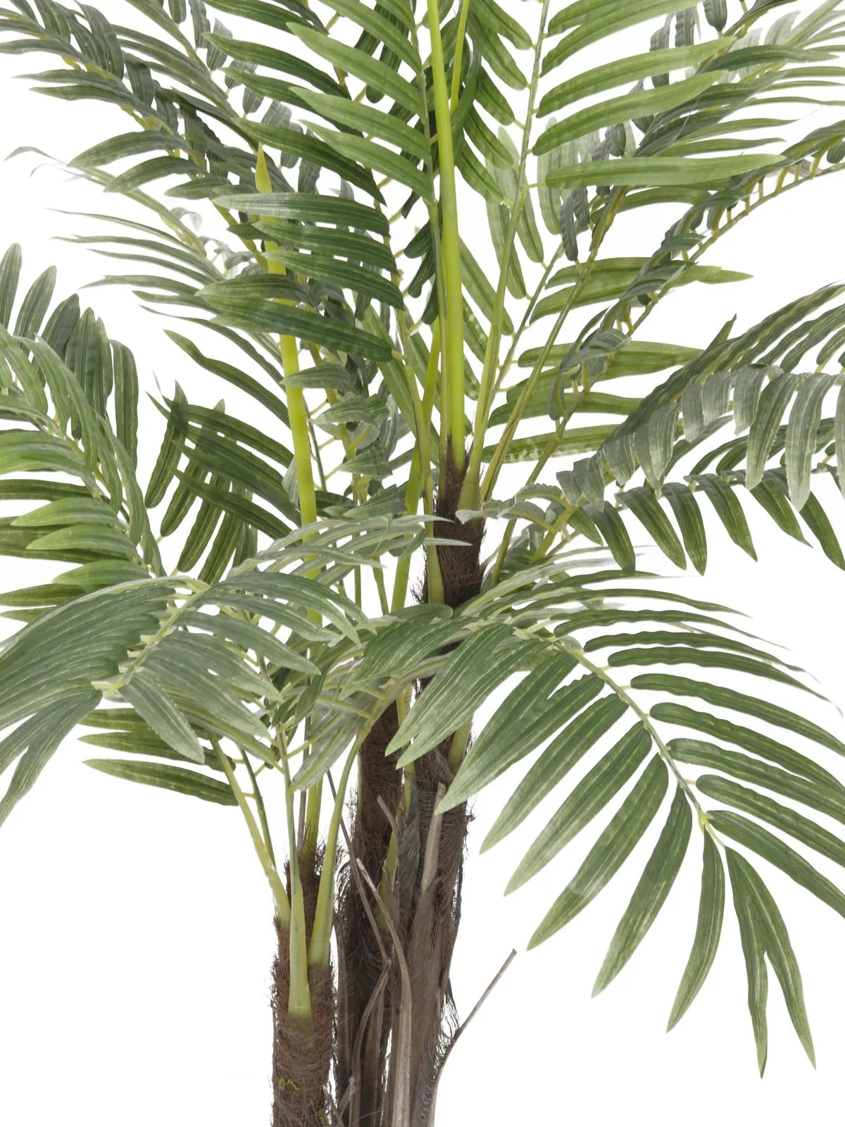europalms phoenix palm tree, 120cm - slika 2