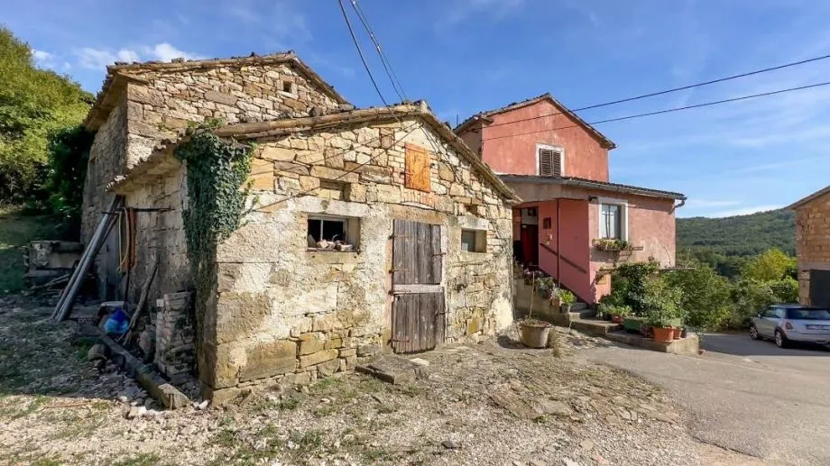 istra-malo selo s nagrađivanim vinom i maslinovim uljem (prodaja) - slika 7