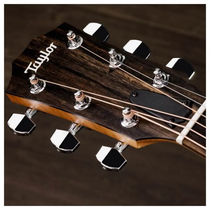 taylor 110ce-s special edition - slika 8