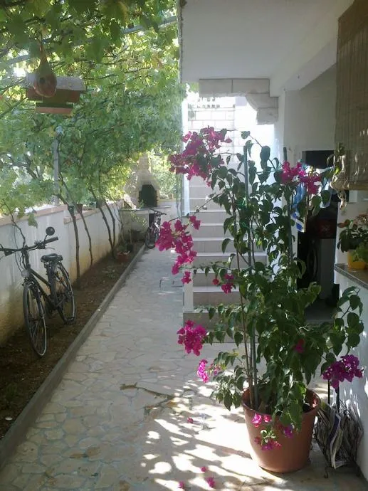 vir, kuća s 4 apartmana(312m2), 250m od mora, južna strana!!! - slika 18