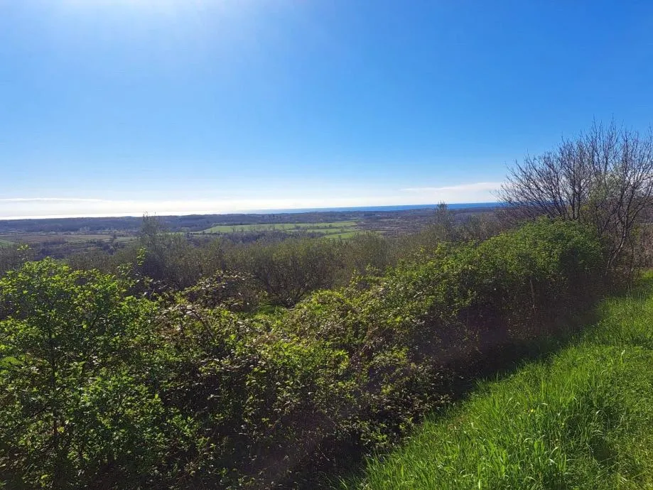 buje građevinsko zemljište sa panoramskim pogledom na more - slika 2