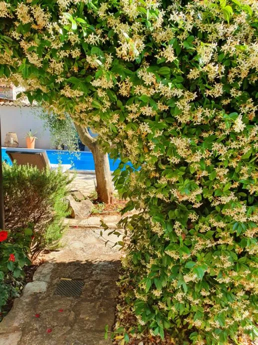 kuća: poreč, 164.00 m2, bazen, mirna lokacija - slika 7