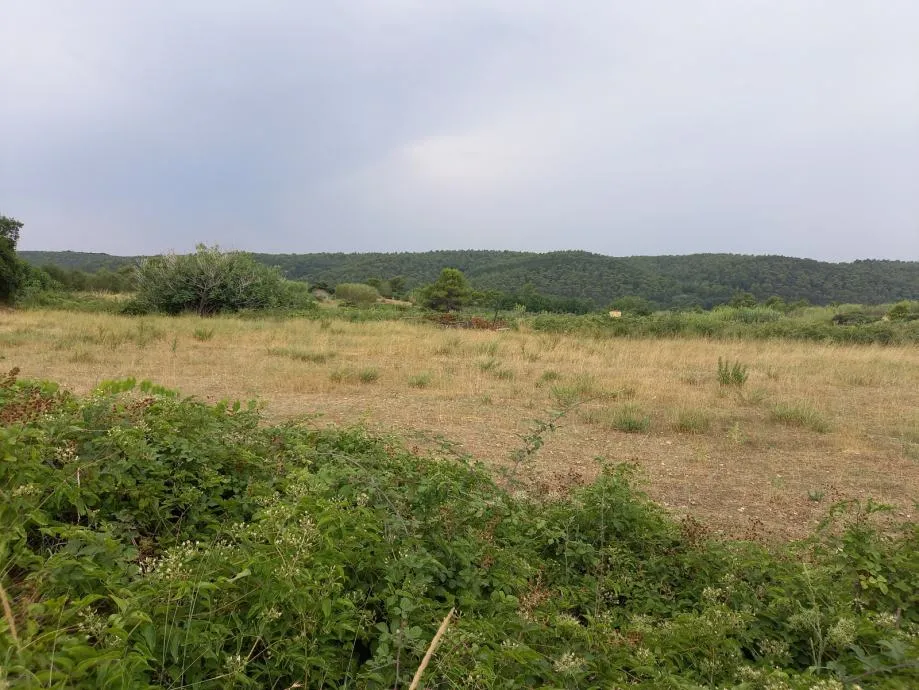 ražanac( rudići)-poljoprivredno zemljište s pogledom na more 3215 m2 - slika 4