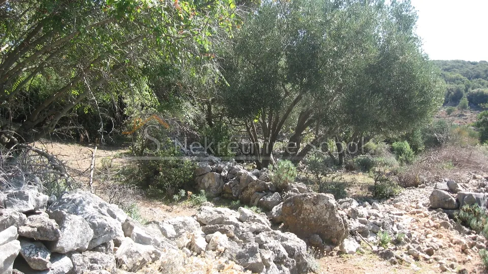 ustrine, otok cres - kuća (ruševina), 92 m2 prodaja - slika 7