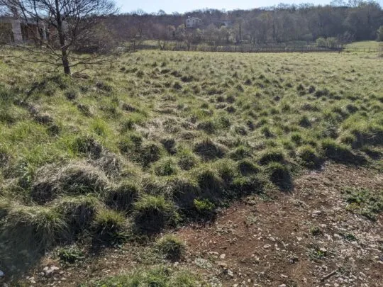 istra, labin, prekrasno građevinsko zemljište - slika 5