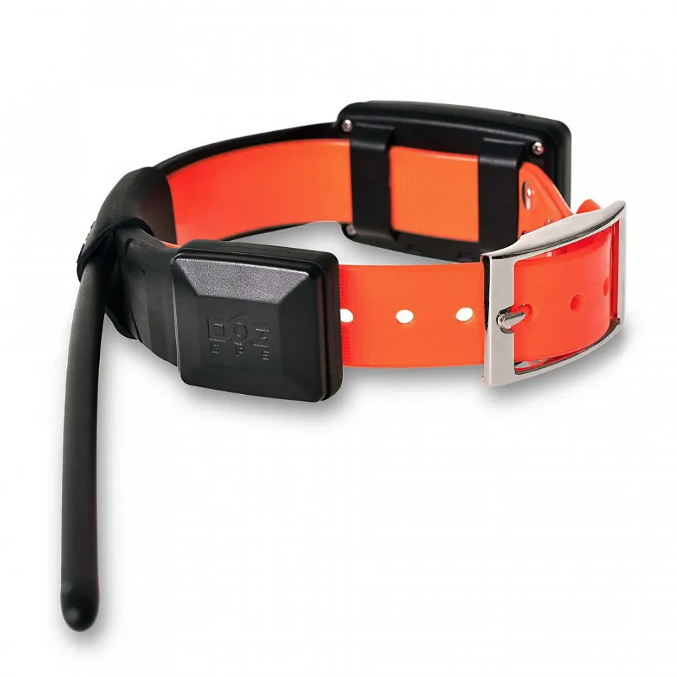 d-gps x30 navigacija za pse dog trace - slika 5