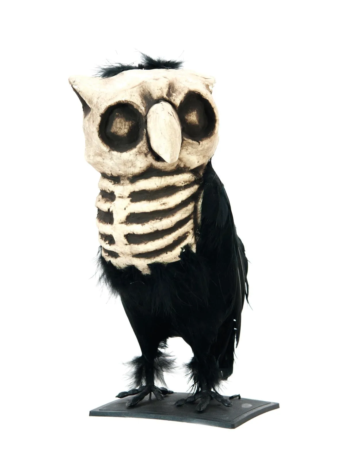 EUROPALMS Owl horror - Križevci