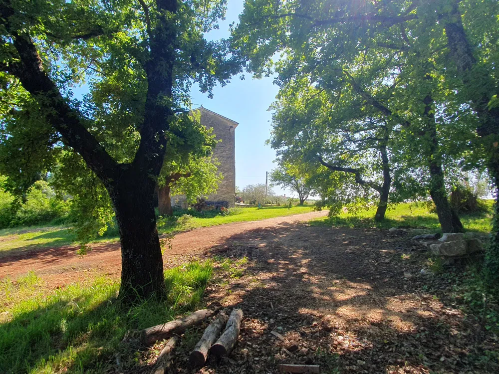 vižinada, imanje s kućom od 180 m2 i zemljištem 35380 m2, kop-740 - slika 3