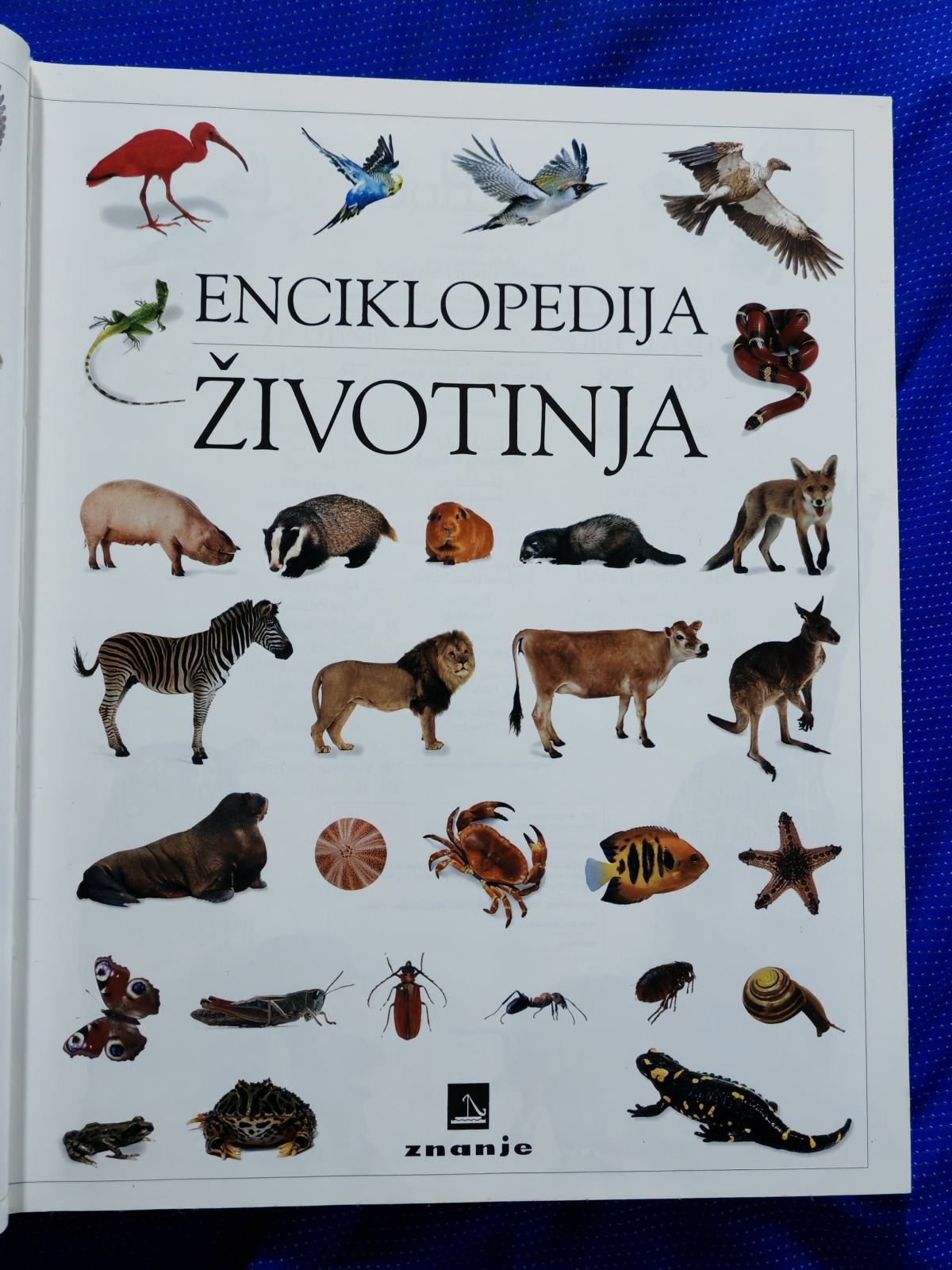 enciklopedija životinja [a5] - slika 2