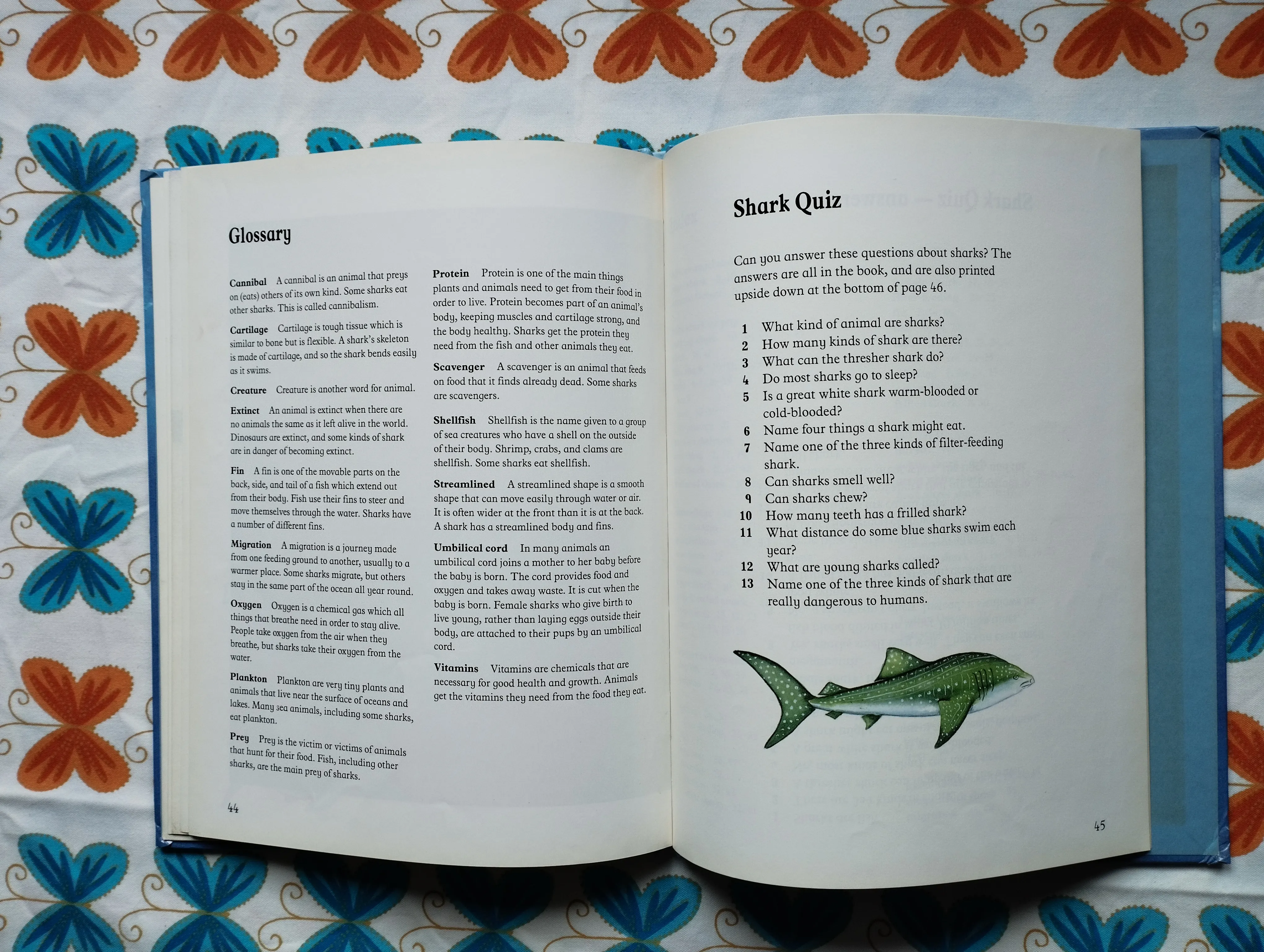 jenny wood - animal world - sharks - slika 7