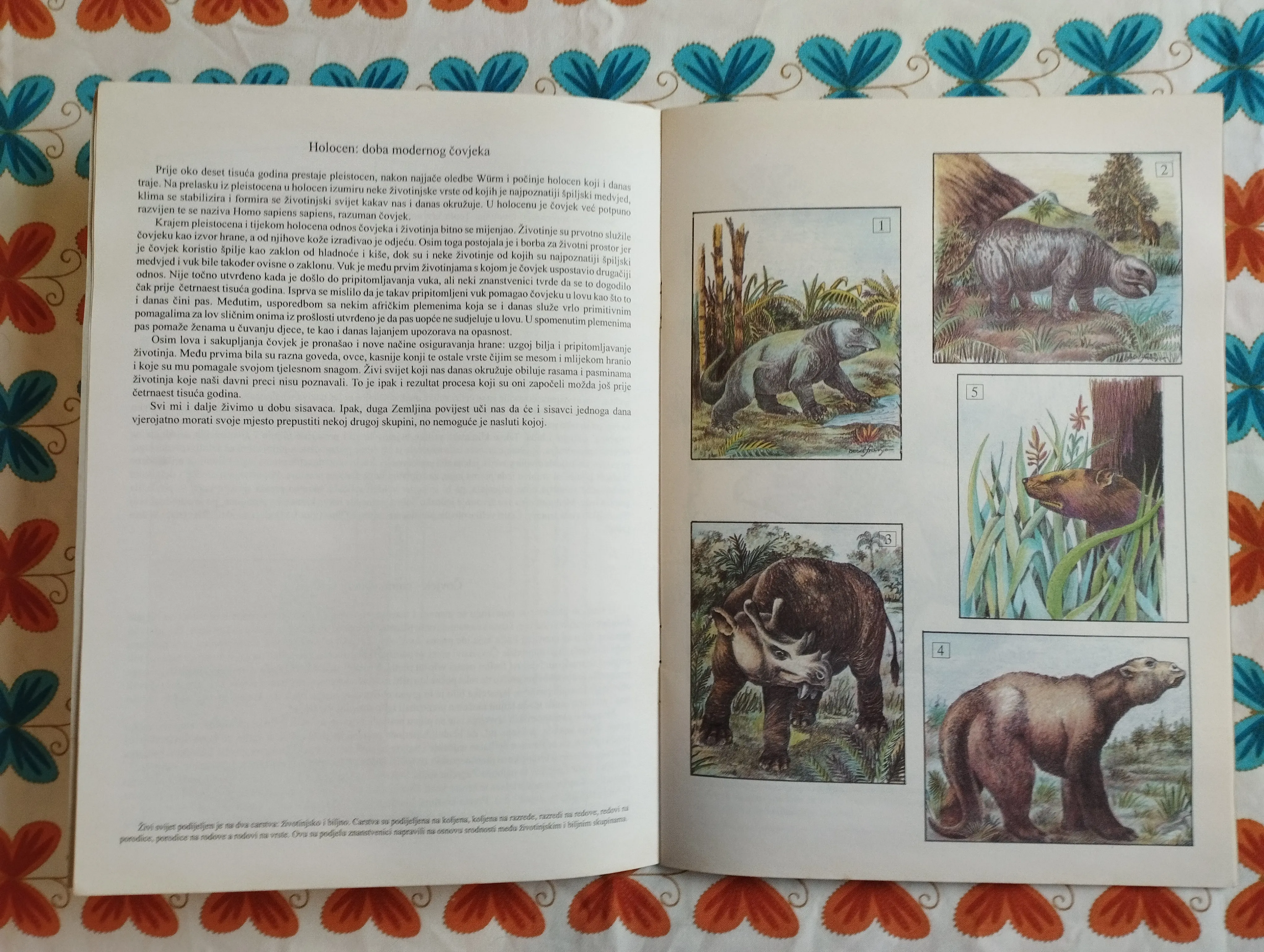 mamuti - mala enciklopedija ... - slika 3