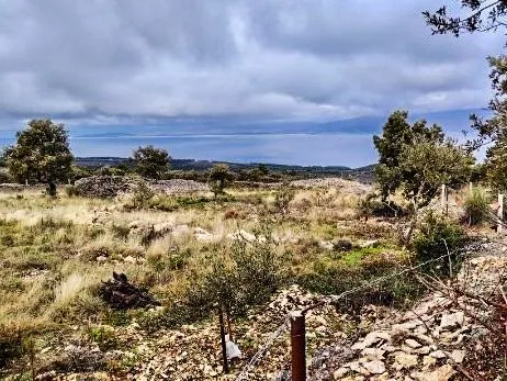 brač-7.388m2 zemljišta s maslinikom, vinogradom i pogledom na more - slika 3
