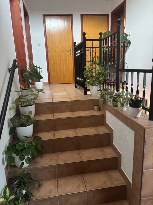 kuća: osijek, retfala, visoka prizemnica, 308m2 (+66m2 dvorišni stan) - slika 7