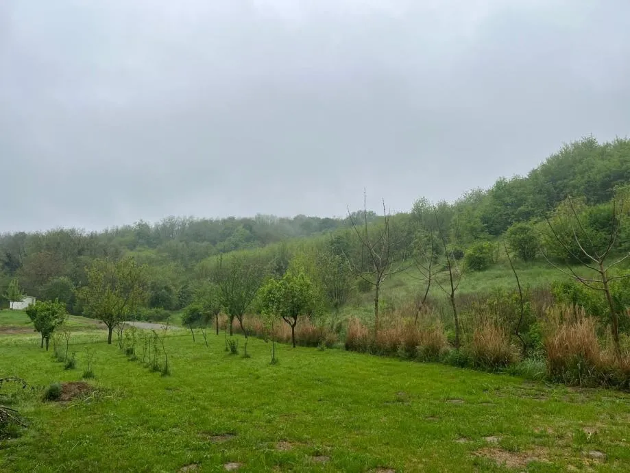 građevinsko zemljište, sveti đurađ, virovitica, 1126 m2 - slika 5